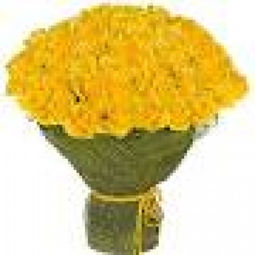 index101 yellow rose